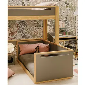 CAMA EVOLUTIVA 